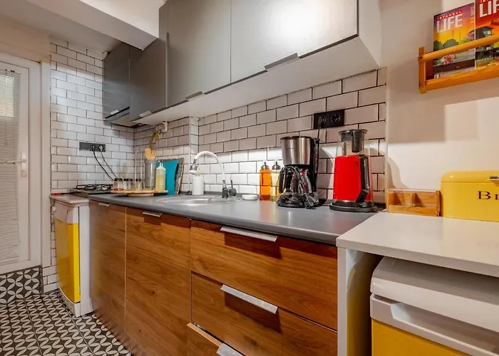 Studio Apartment 아파트 이스탄불